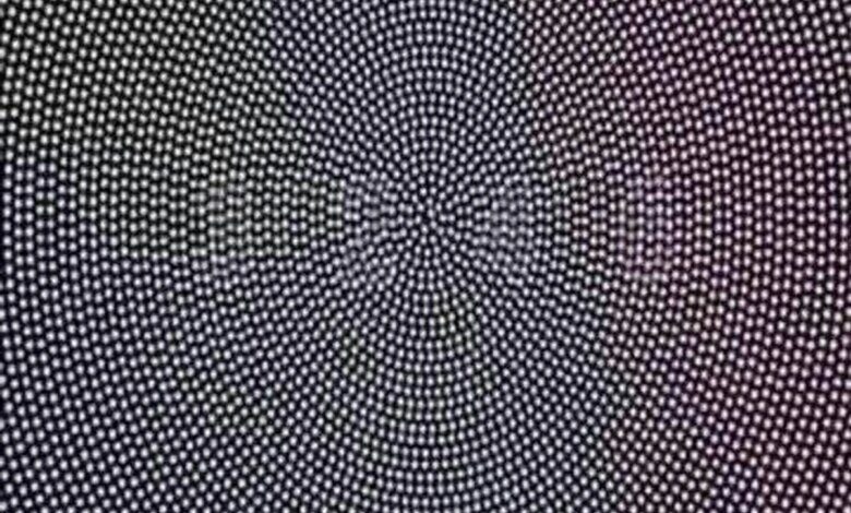 Проверьте свое зрение с помощью этого изображения: какие числа вы видите?