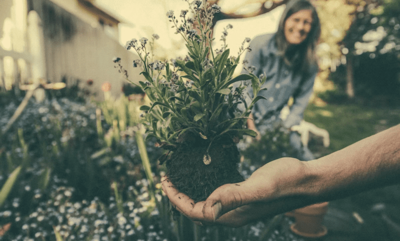 Уход за садом без усилий: 3 совета, о которых следует помнить