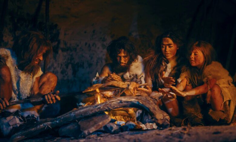 Исследование Какие продукты люди готовили 780 000 лет назад