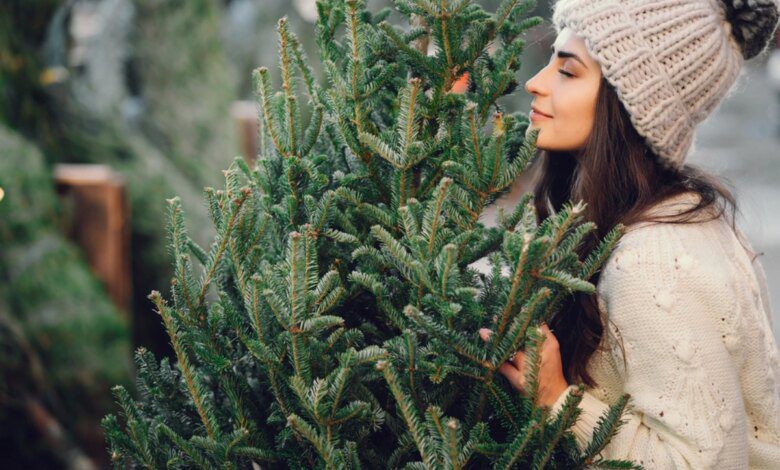 How to properly care for a natural Christmas tree so that it lasts as long as possible