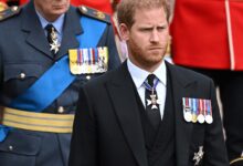 Full shock at the Royal House! Prince Harry Summoned a Psychic to Contact Princess Diana