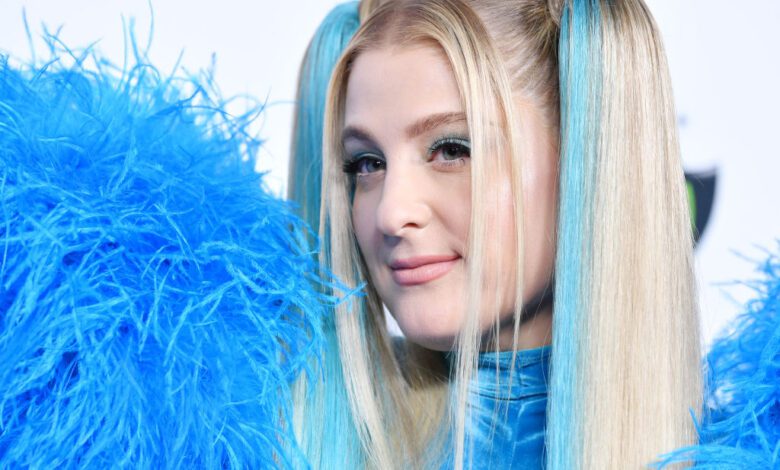 Meghan Trainor showed off her pregnant belly in an adorable video. Riley, the artist's son, also appeared in the pictures.
