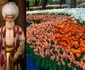 Suleiman the Magnificent tulips photo Shutterstock jpg