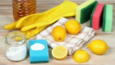 Lemon, your cleaning ally. How does it help get rid of dirt?