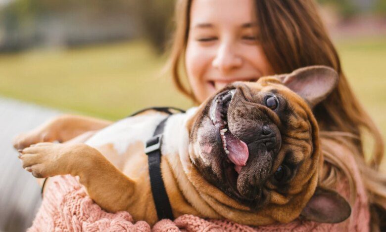 Do you want to improve your mental health? A pet can help you