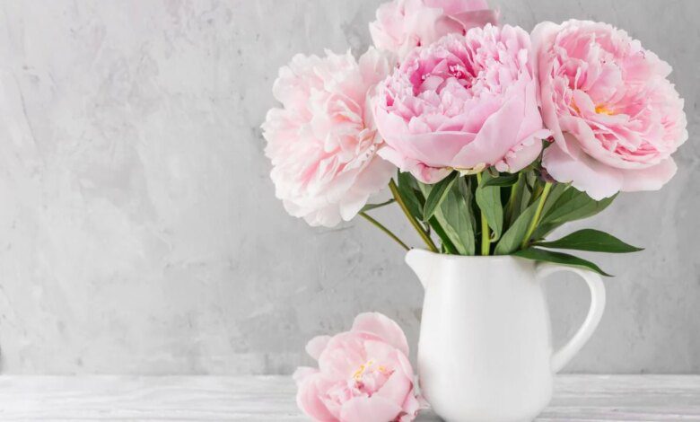 Peony and its myth. The history of the most beloved flower in the world