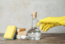 Surfaces and objects that should not be cleaned with vinegar
