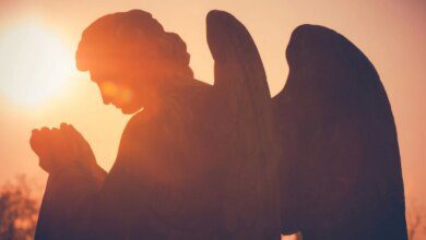 Признаки, которые показывают вам, что Ангел-Хранитель находится рядом с вами и защищает вас
