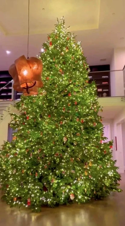 Kylie Jenner has a 12-meter tree (Photo: Instagram)
