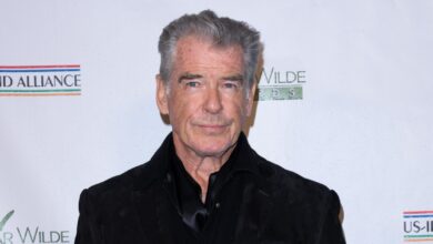 Pierce Brosnan fined for walking in Yellowstone's restricted area! How was this missed?